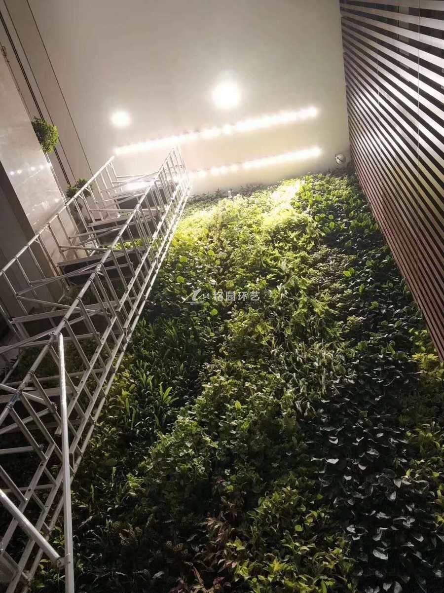 腾讯大厦植物墙