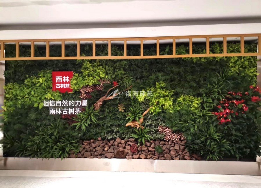 公司配景植物墙