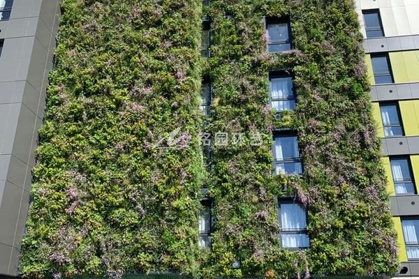 住宅外墙植物墙