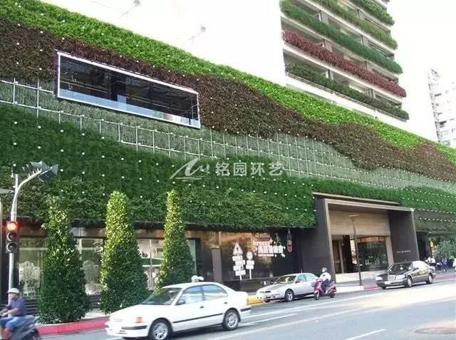 笔直植物墙图：植物墙对新老城区刷新借鉴