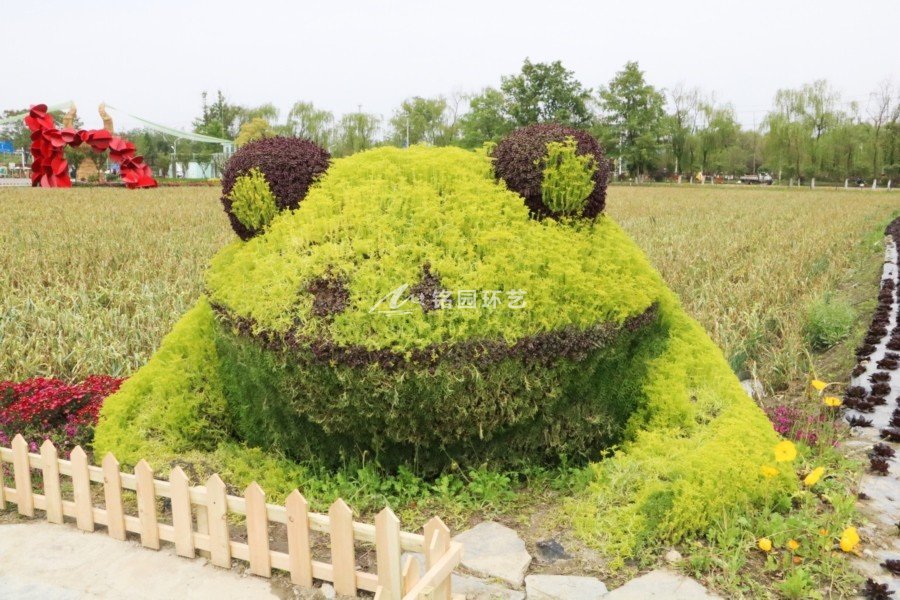 艺术节植物墙