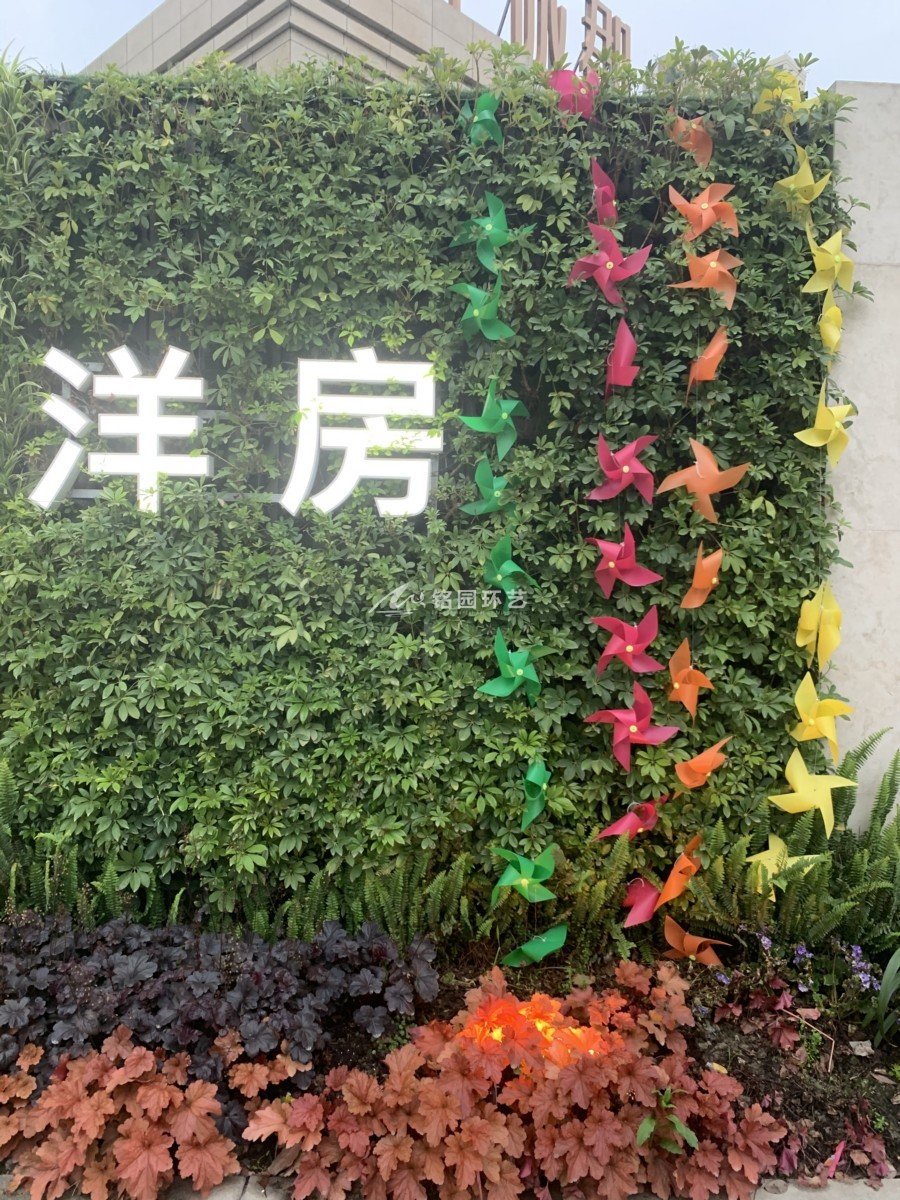 室外阻遏植物墙