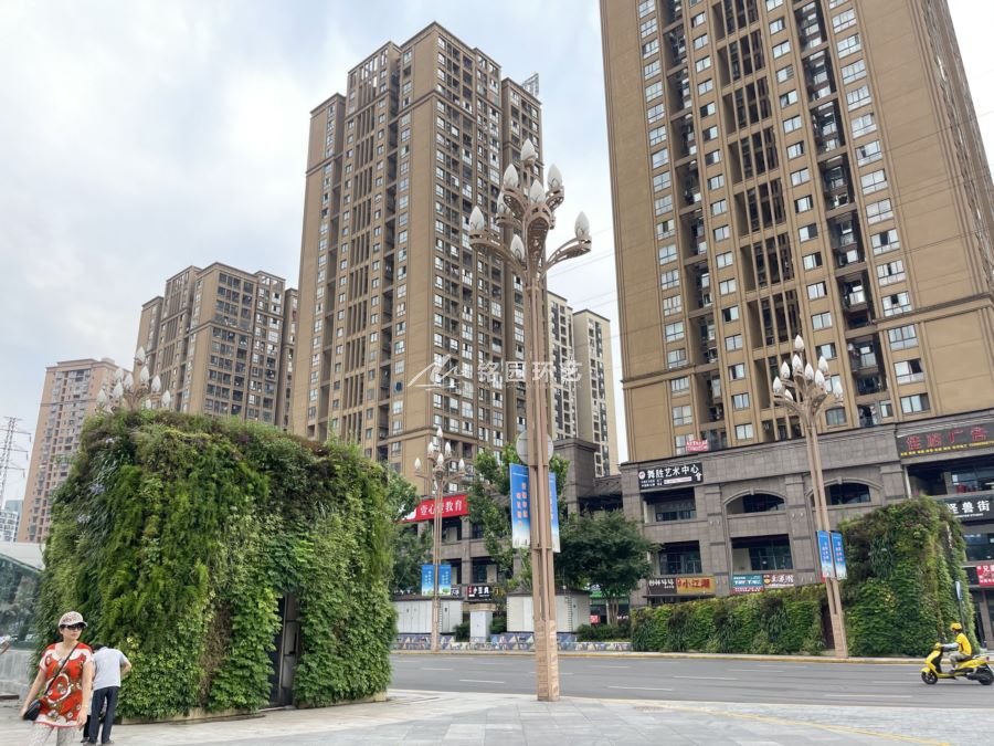 广场植物墙，重庆盘龙中央广场小型修建笔直绿化景观